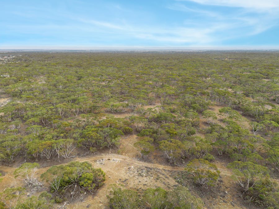 Lot 5 Lake Short Road, Sandleton, SA, 5356 - Image 16