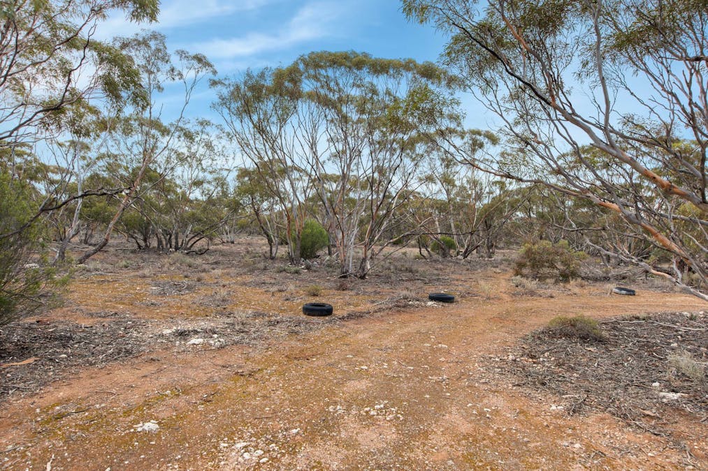 Lot 5 Lake Short Road, Sandleton, SA, 5356 - Image 9