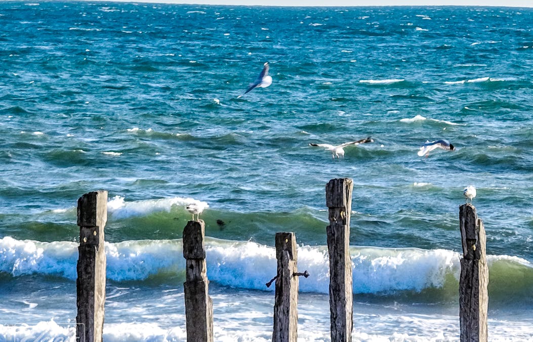 Lot 104 Sampson Road, Myponga Beach, SA, 5202 - Image 29