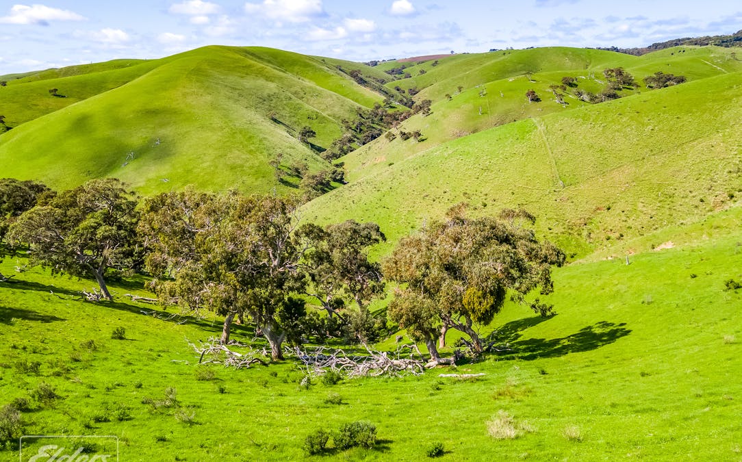 Lot 104 Sampson Road, Myponga Beach, SA, 5202 - Image 19