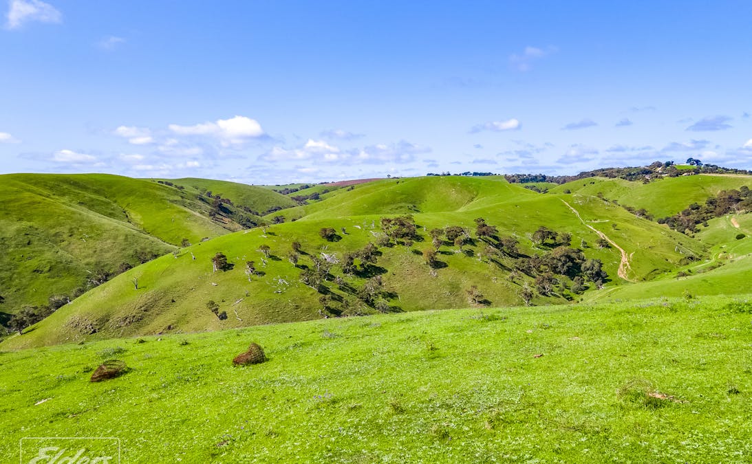Lot 104 Sampson Road, Myponga Beach, SA, 5202 - Image 16