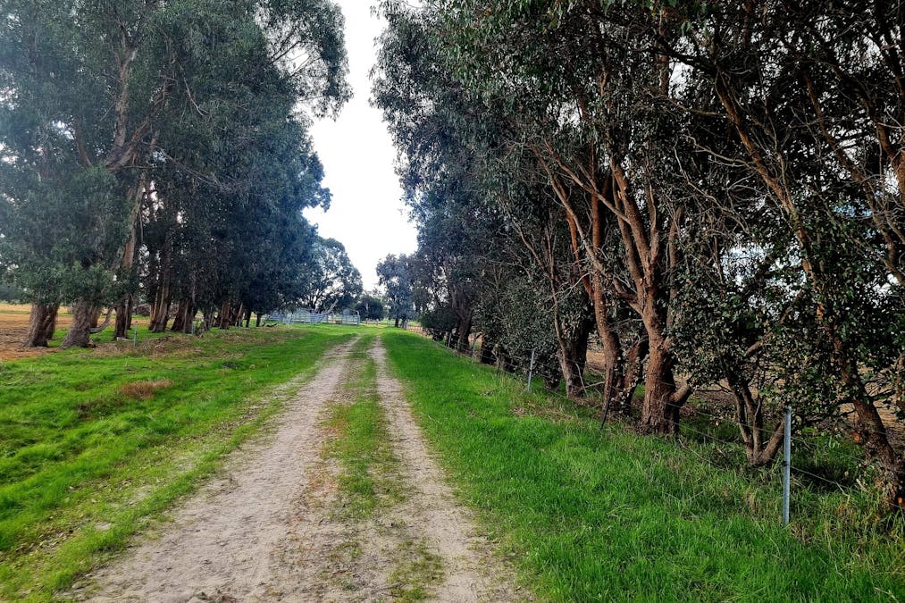 834 Vasse Highway, Yoongarillup, WA, 6280 - Image 10