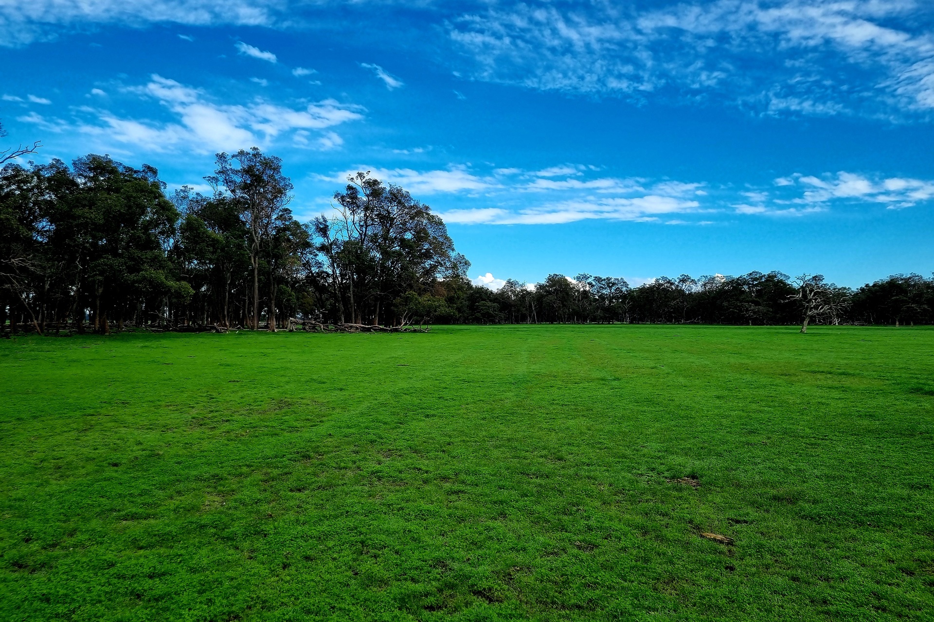 Lot 808 Mayfield Road, Waroona, WA, 6215 For Sale Elders Real Estate