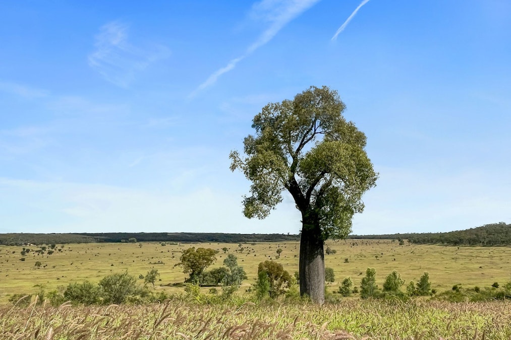 Bauhinia, QLD, 4718 - Image 5