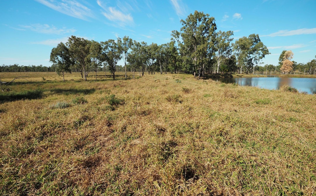 Bauhinia, QLD, 4718 - Image 13