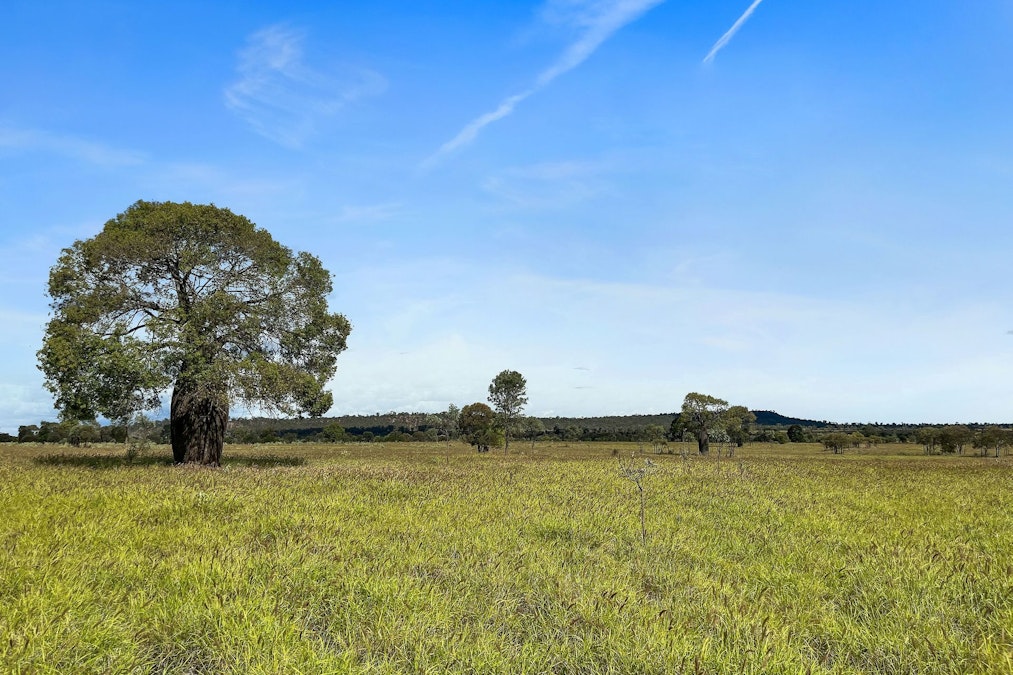 Bauhinia, QLD, 4718 - Image 33