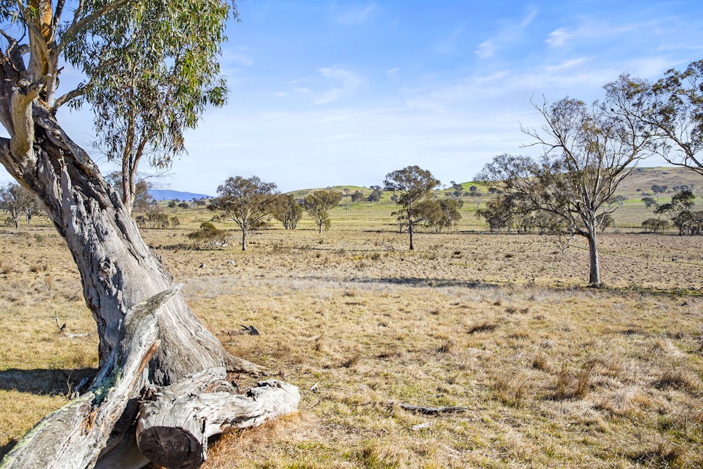 9 Belleview Drive, Murrumbateman, NSW, 2582 - Image 14