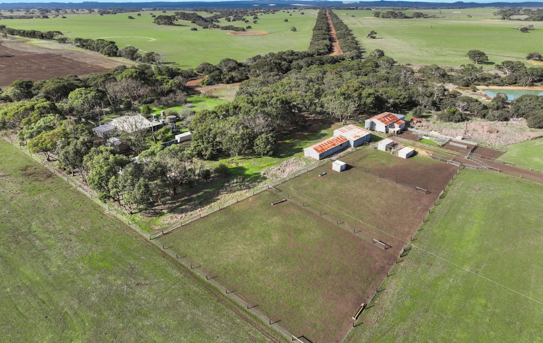 1048 Crabbs Road, Newland, SA, 5223 - Image 24