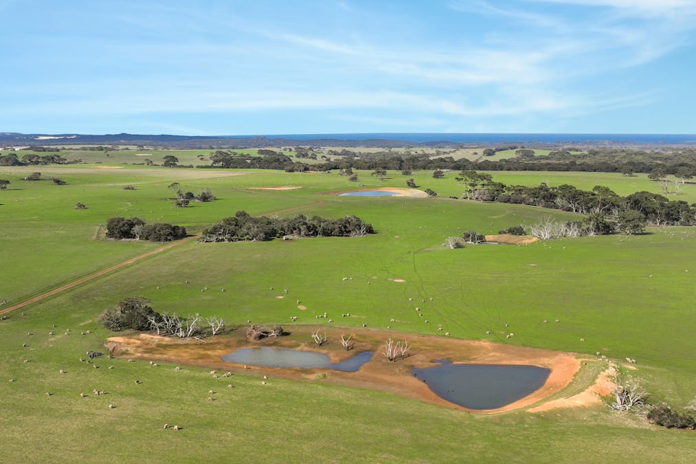 1048 Crabbs Road, Newland, SA, 5223 - Image 12