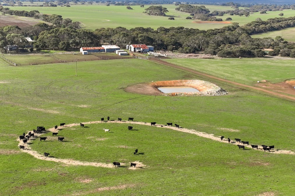 1048 Crabbs Road, Newland, SA, 5223 - Image 26