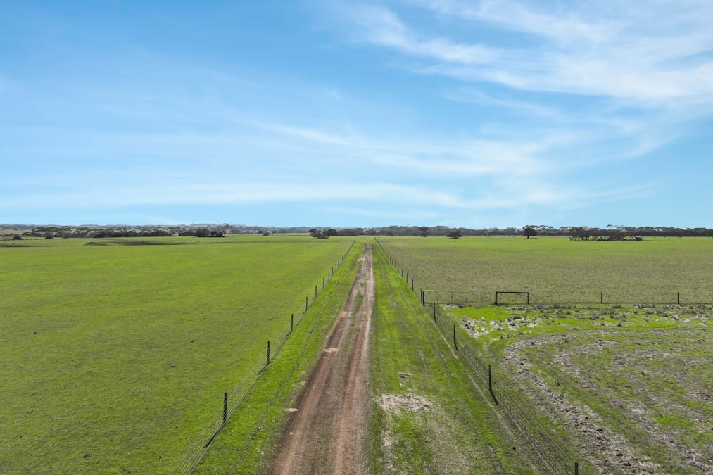 1048 Crabbs Road, Newland, SA, 5223 - Image 14