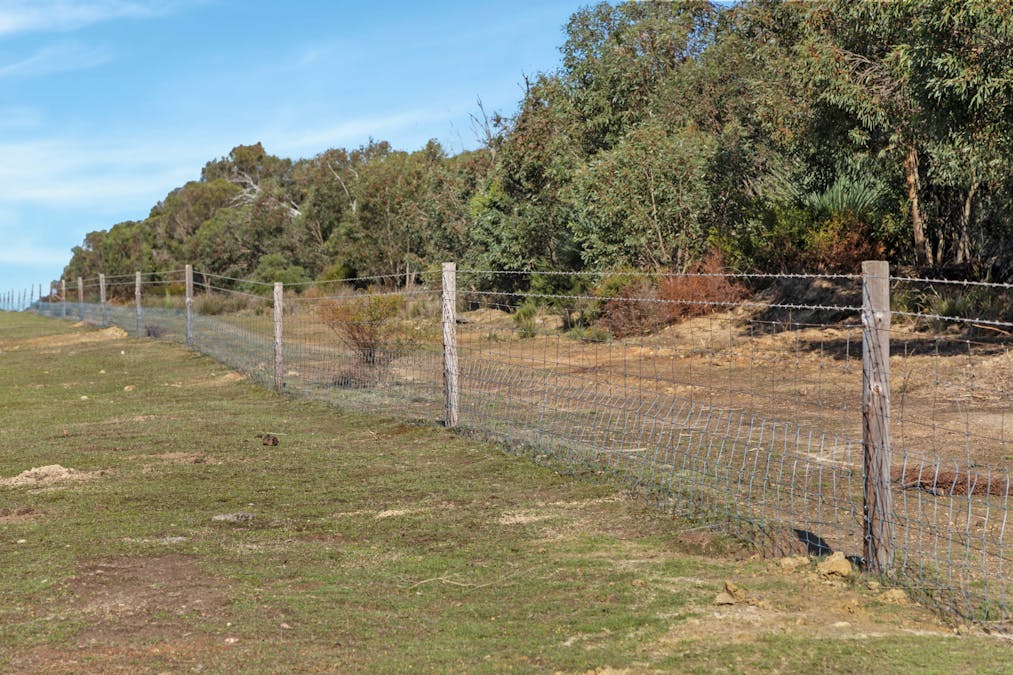 1048 Crabbs Road, Newland, SA, 5223 - Image 16
