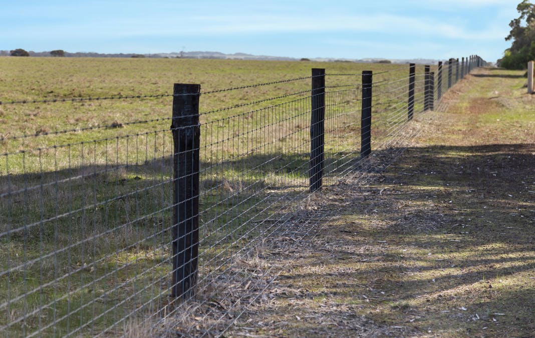 1048 Crabbs Road, Newland, SA, 5223 - Image 15