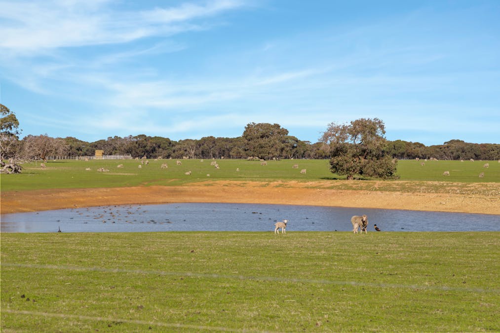 1048 Crabbs Road, Newland, SA, 5223 - Image 10