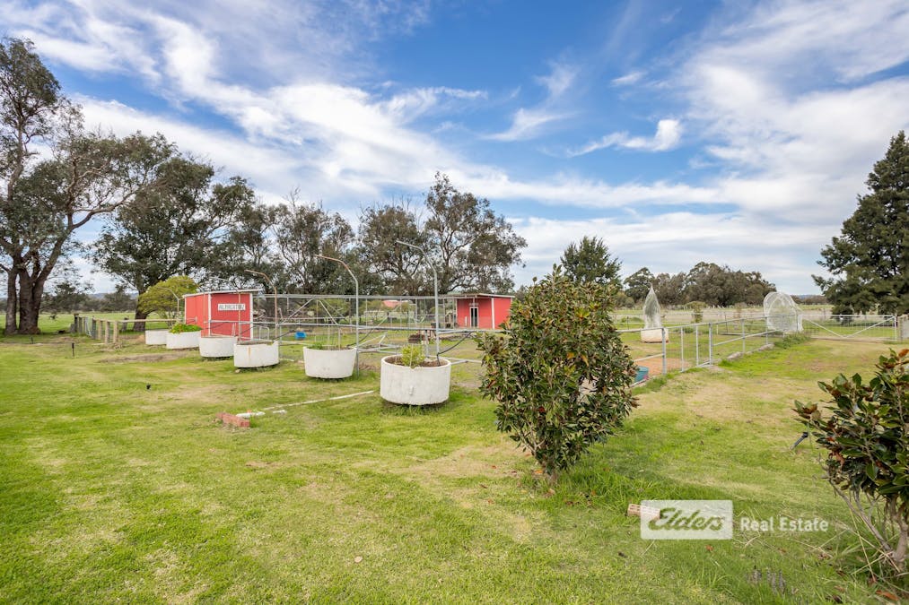 221 Herbert Road, Harvey, WA, 6220 - Image 30