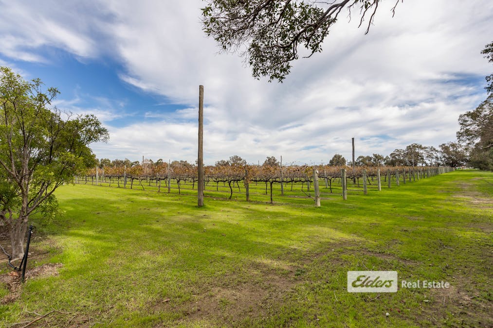 221 Herbert Road, Harvey, WA, 6220 - Image 31