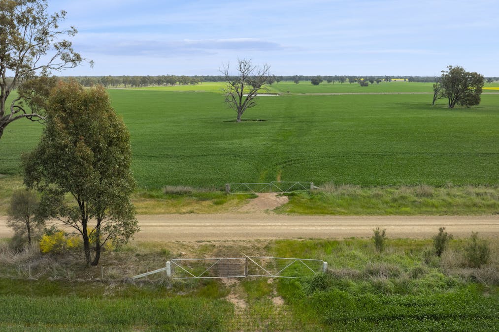 800 Bridge Road, Caniambo, VIC, 3630 - Image 15
