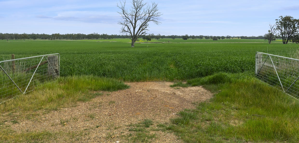 800 Bridge Road, Caniambo, VIC, 3630 - Image 17