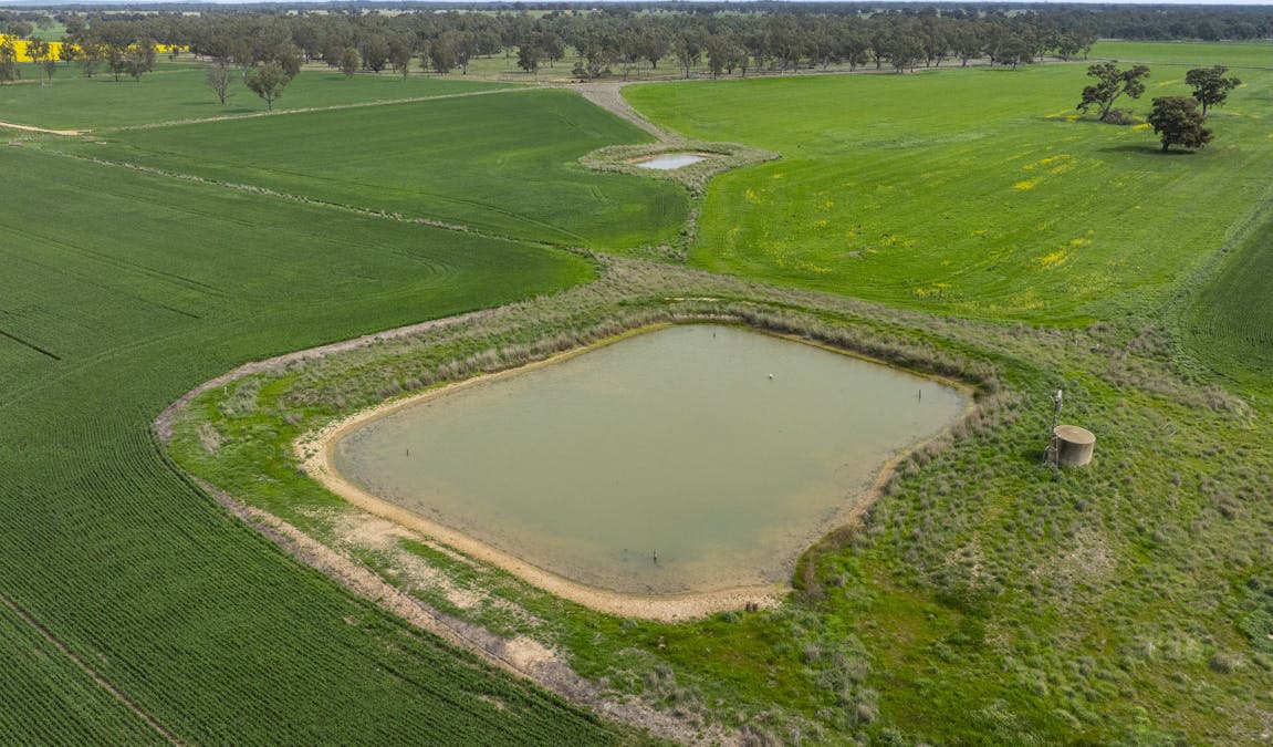 800 Bridge Road, Caniambo, VIC, 3630 - Image 6