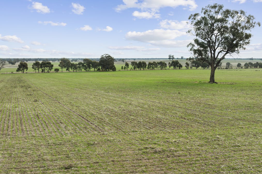 800 Bridge Road, Caniambo, VIC, 3630 - Image 7