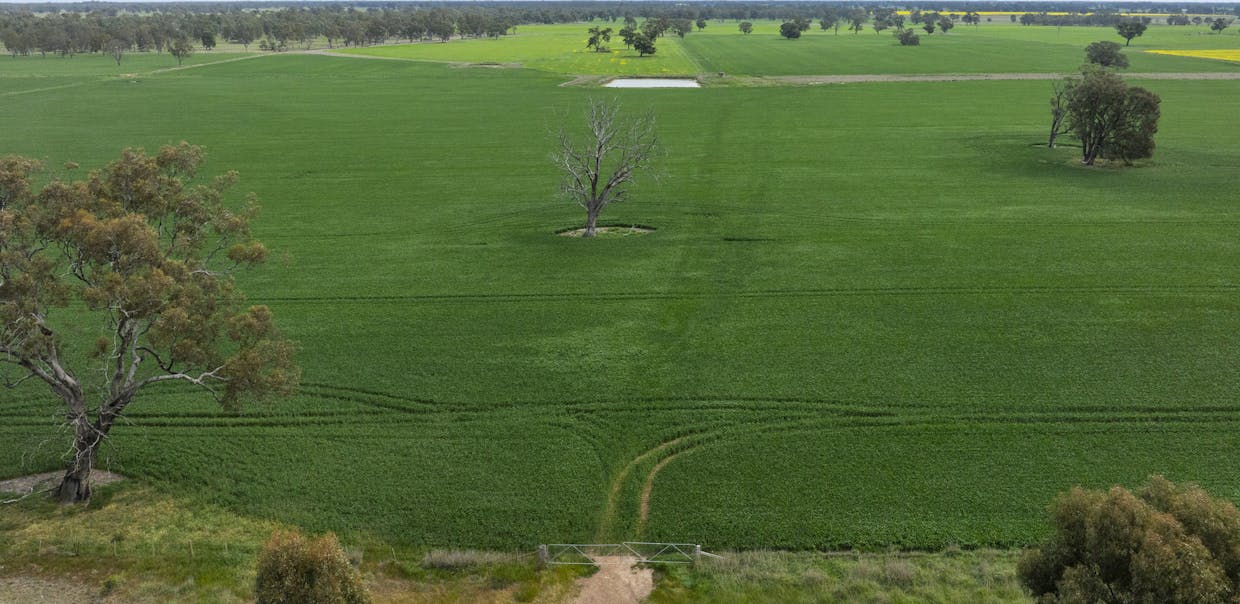 800 Bridge Road, Caniambo, VIC, 3630 - Image 3