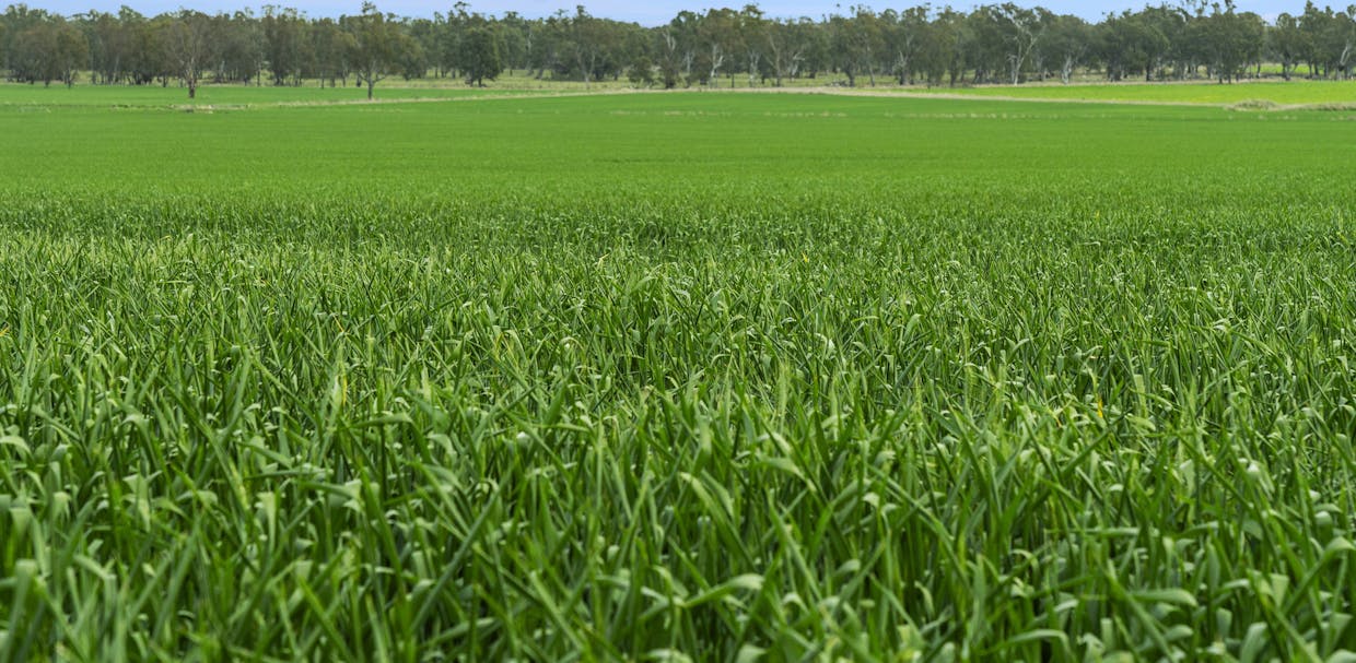800 Bridge Road, Caniambo, VIC, 3630 - Image 1