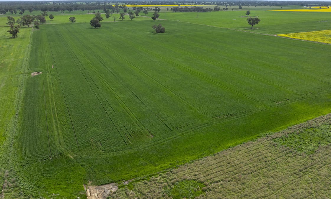 800 Bridge Road, Caniambo, VIC, 3630 - Image 11