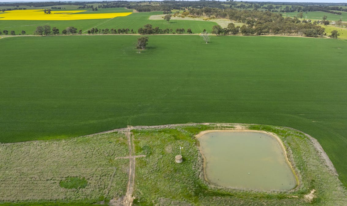 800 Bridge Road, Caniambo, VIC, 3630 - Image 13