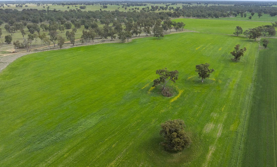 800 Bridge Road, Caniambo, VIC, 3630 - Image 14