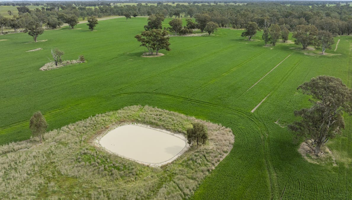 800 Bridge Road, Caniambo, VIC, 3630 - Image 5