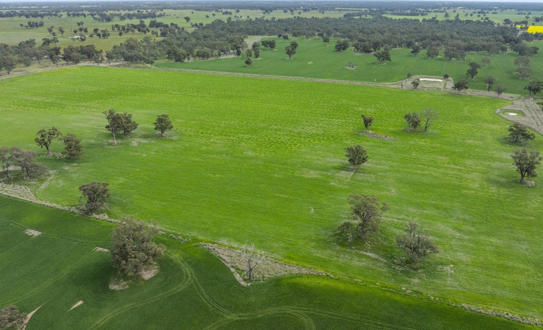 800 Bridge Road, Caniambo, VIC, 3630 - Image 10