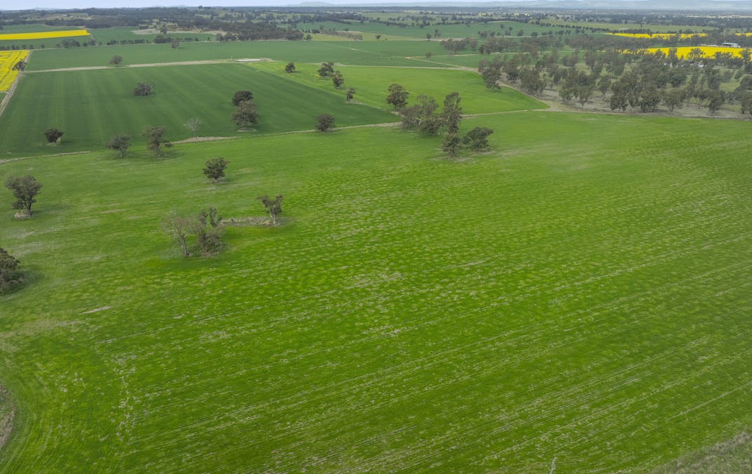 800 Bridge Road, Caniambo, VIC, 3630 - Image 12