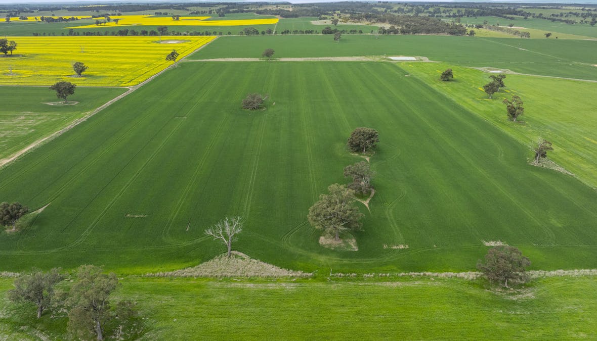 800 Bridge Road, Caniambo, VIC, 3630 - Image 4