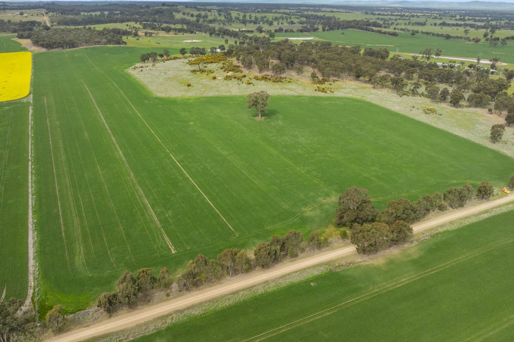 800 Bridge Road, Caniambo, VIC, 3630 - Image 8
