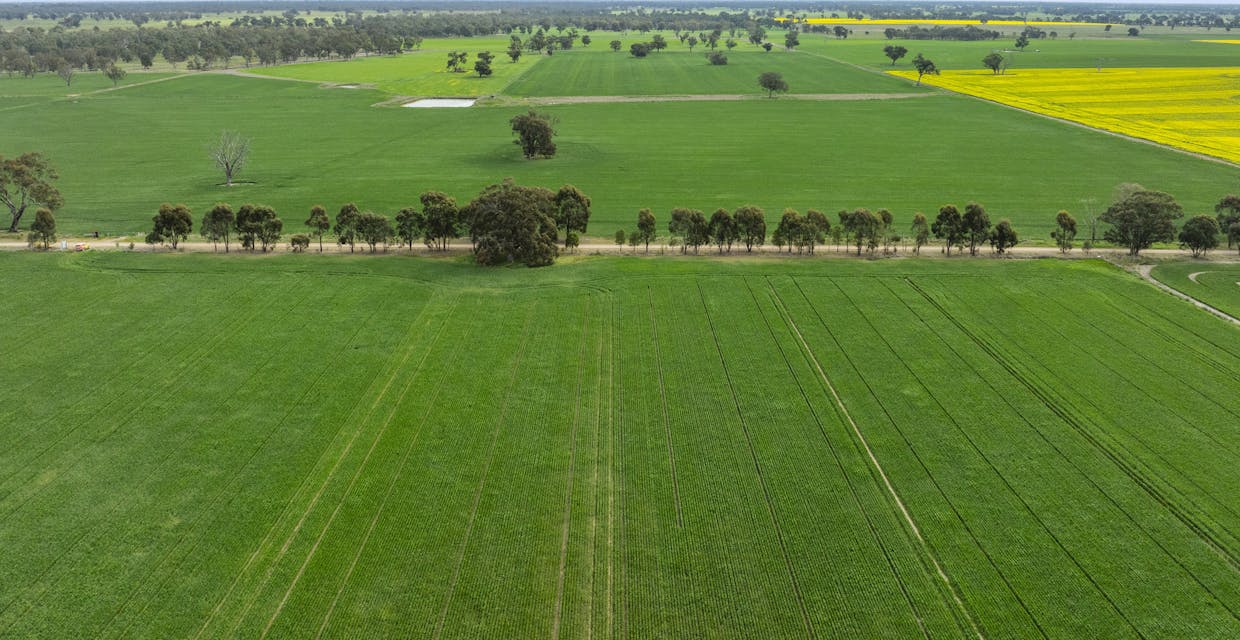 800 Bridge Road, Caniambo, VIC, 3630 - Image 16