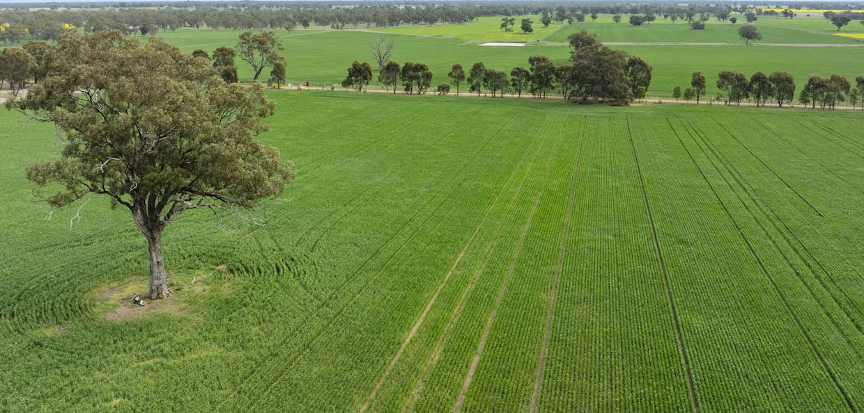 800 Bridge Road, Caniambo, VIC, 3630 - Image 2