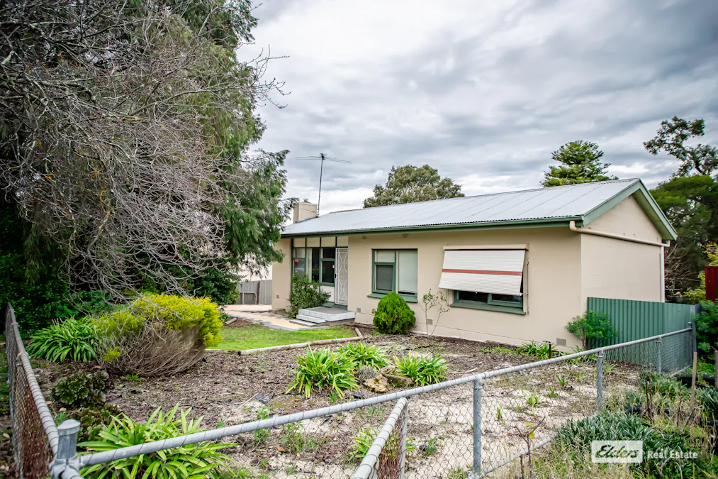 3 Friesian Street, Naracoorte, SA, 5271 - Image 3
