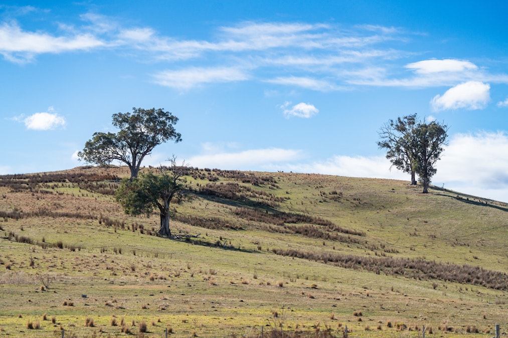 29 Manna Court, Lake Hume Village, NSW, 3691 - Image 14