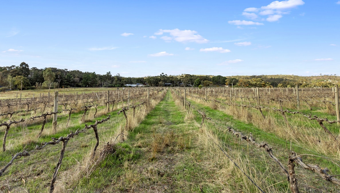 Lot 6 Blyth Road, Armagh, SA, 5453 - Image 4