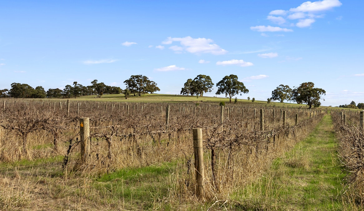 Lot 6 Blyth Road, Armagh, SA, 5453 - Image 6