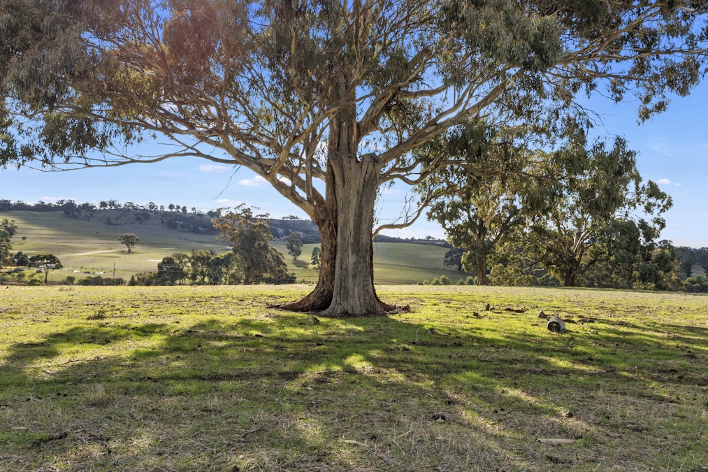 Lot 6 Blyth Road, Armagh, SA, 5453 - Image 10