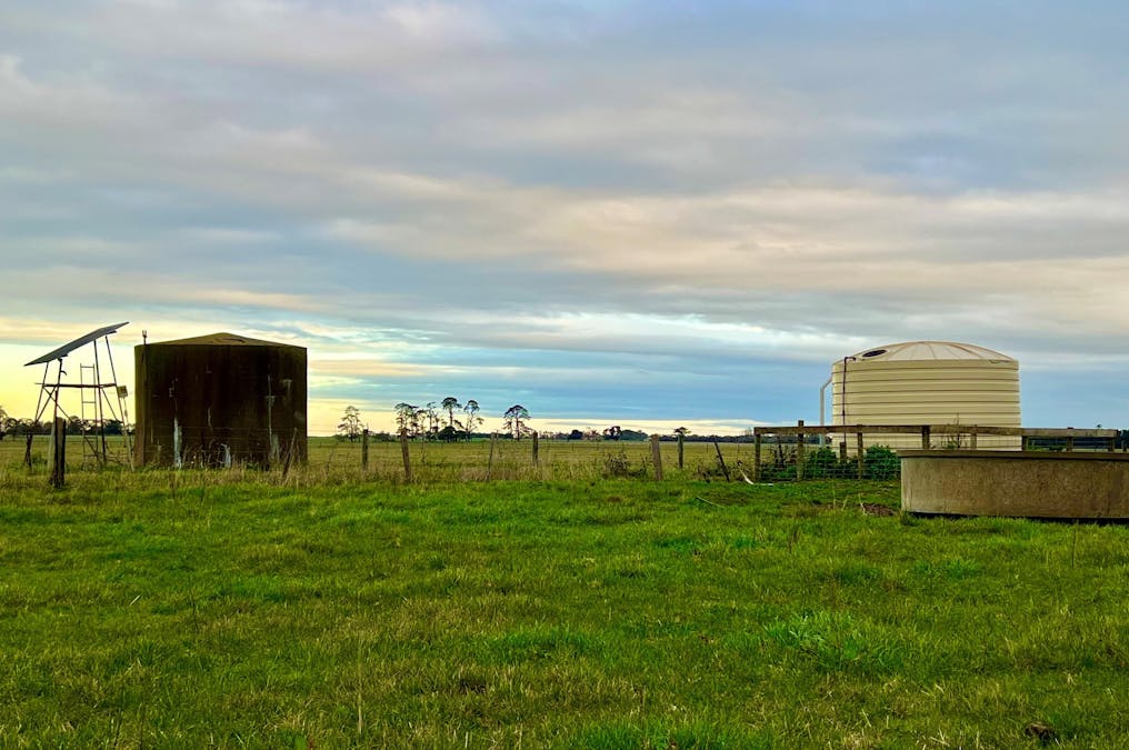 Sisters-Noorat Road, Noorat, VIC, 3265 - Image 7