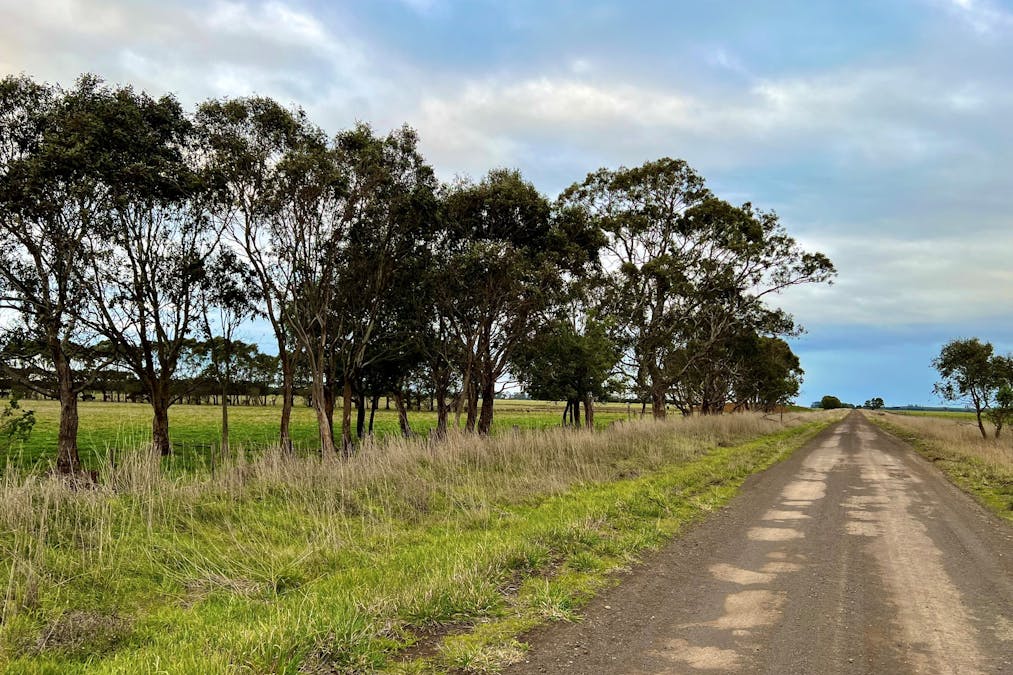 Sisters-Noorat Road, Noorat, VIC, 3265 - Image 10