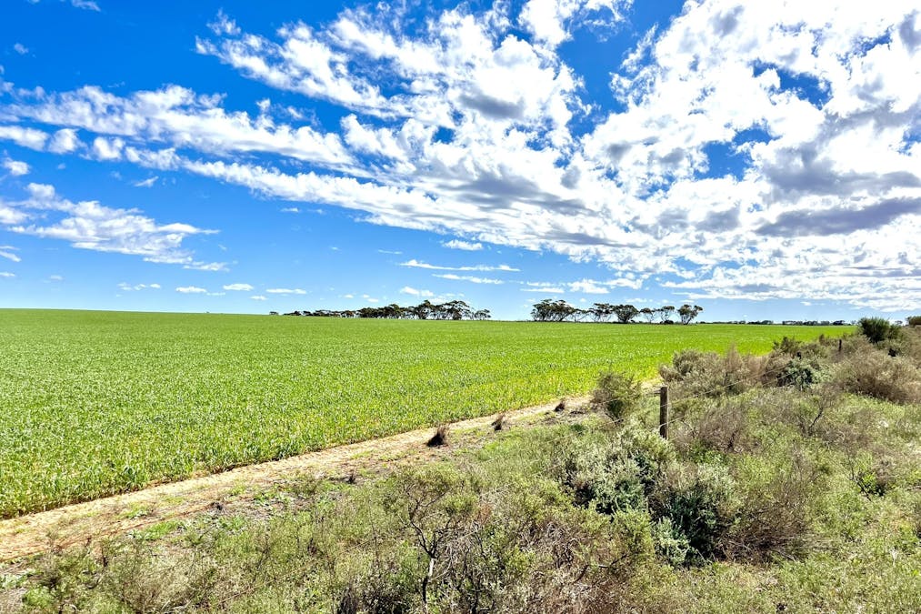 2944 OTC Road, Wandana, SA, 5690 - Image 1