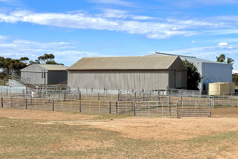 2944 OTC Road, Wandana, SA, 5690 - Image 13