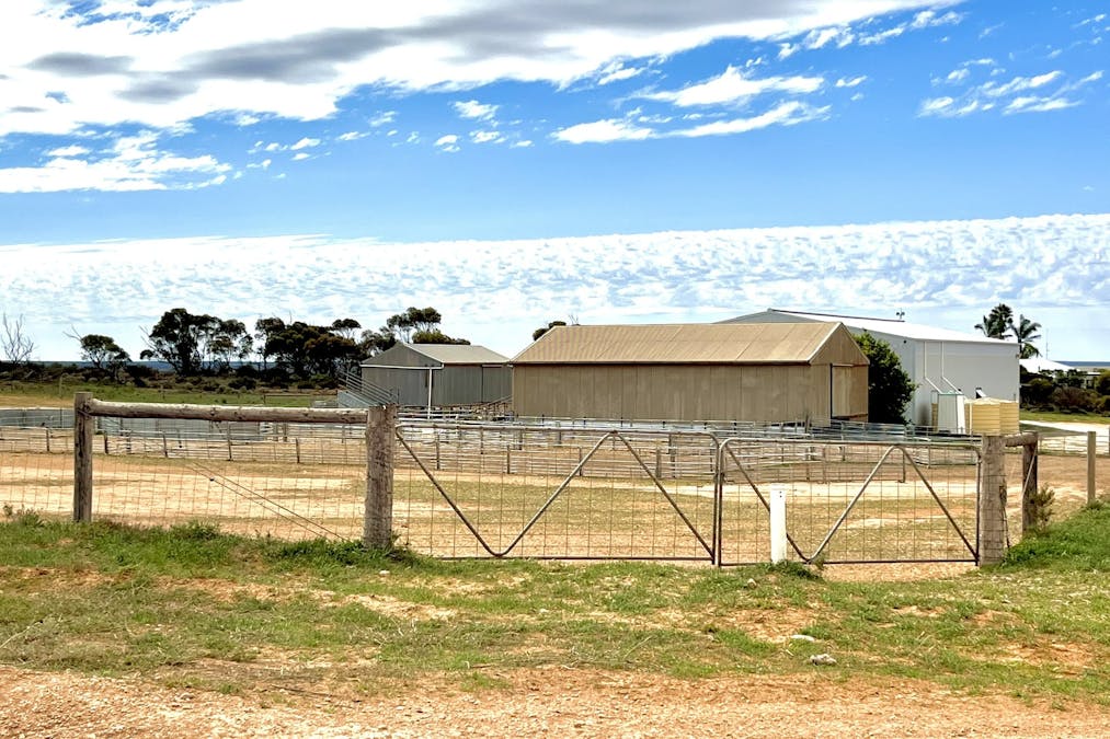 2944 OTC Road, Wandana, SA, 5690 - Image 12