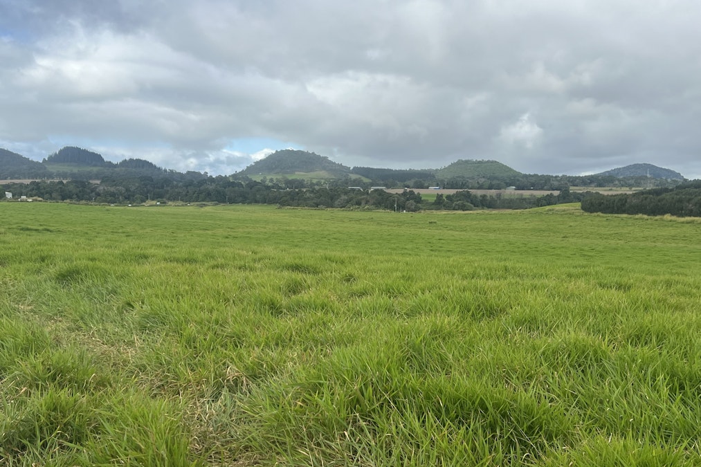 Picnic Crossing Road South , Atherton, QLD, 4883 - Image 1