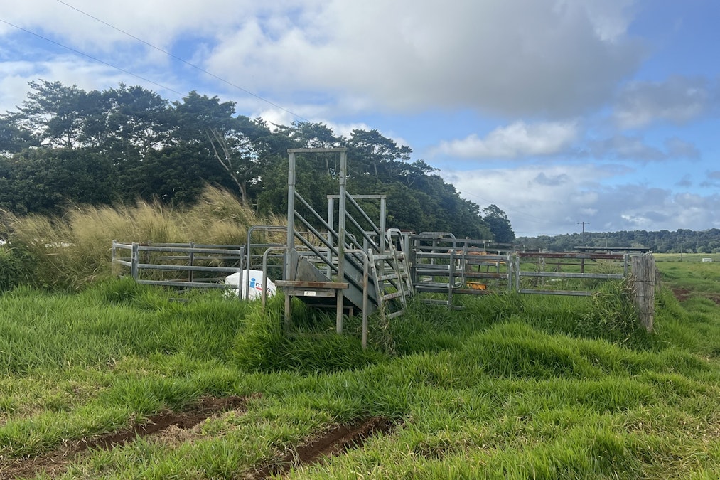 Picnic Crossing Road South , Atherton, QLD, 4883 - Image 3