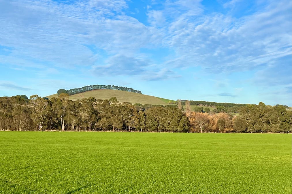 357 Batemans Road, Boorcan, VIC, 3265 - Image 6