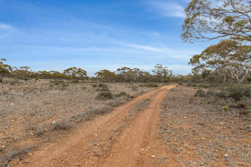 163 Bower Boundary Road, Bower, SA, 5374 - Image 17